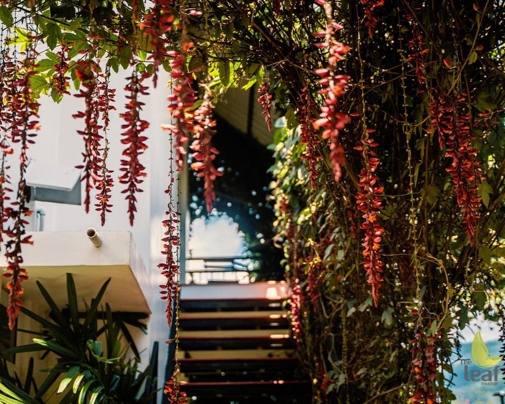 Hotel The Leaf Munnar Extérieur photo